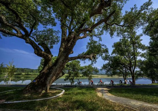 武夷山國家公園1號風(fēng)景道（南平崇陽溪段）。吳大灼攝
